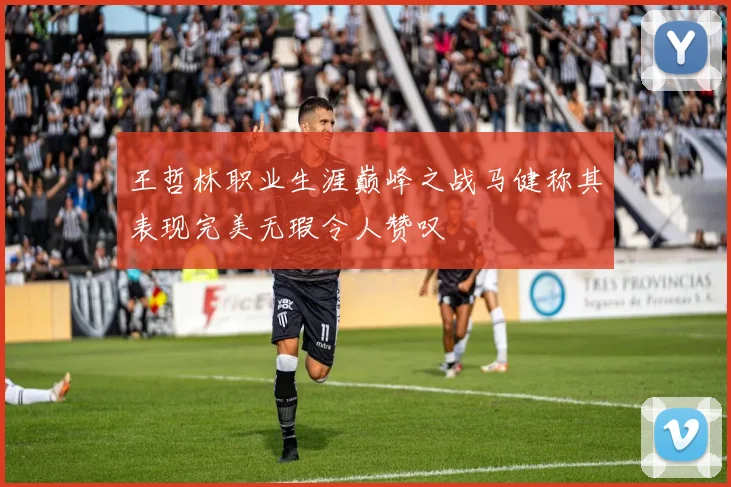 王哲林职业生涯巅峰之战马健称其表现完美无瑕令人赞叹