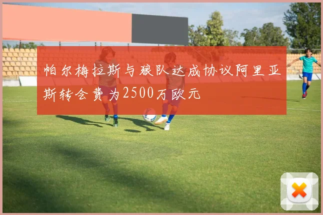 帕尔梅拉斯与狼队达成协议阿里亚斯转会费为2500万欧元